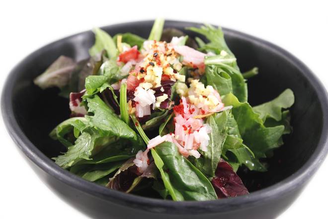 Salade au Vinaigre / Vinegar Salad /醋沙拉